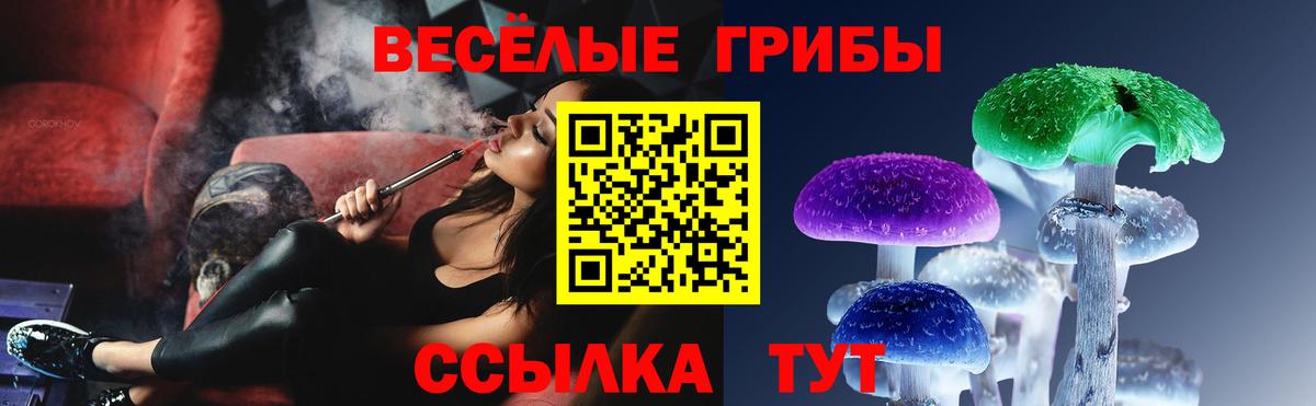 Псилоцибиновые грибы прущие грибы  Вход с VPN  Псилоцибиновые грибы Cubensis  Ангарск 